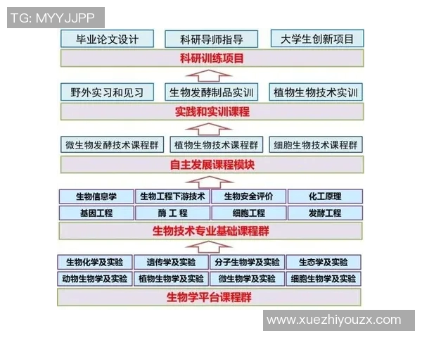南京排球队防守革新之路探索团队协作与技术提升的完美结合