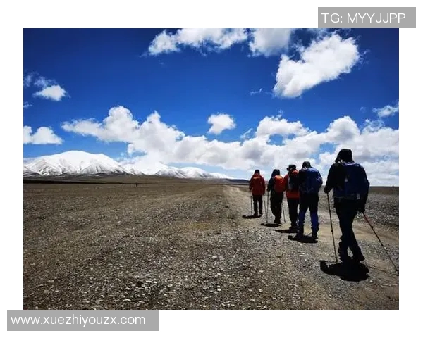 杭州乒乓球队反击之路：成功与挑战并存的精彩赛季回顾