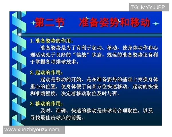 广州排球队进攻战术深度解析与实战应用探讨