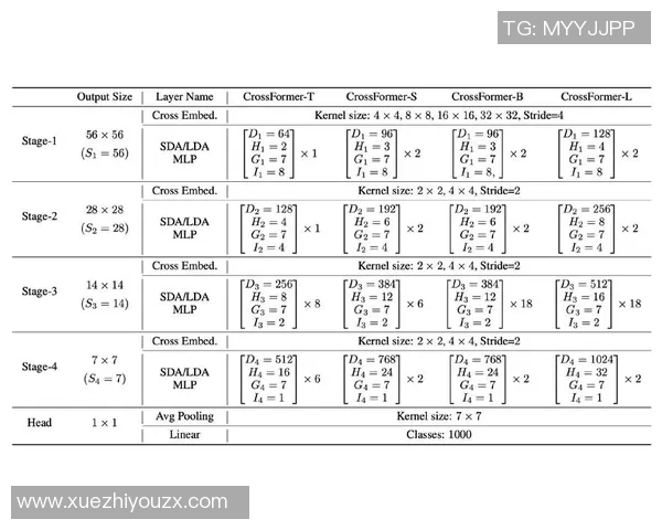 武汉乒乓球队运营分析:成功经验与面临挑战的深度探讨 武汉乒乓球队运营分析:成功经验与面临挑战的深度探讨