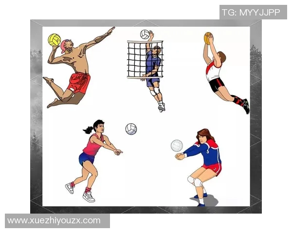 深入分析杭州排球队控制打法的战术特点与应用策略