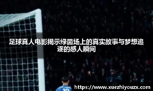 bevictor伟德韦德